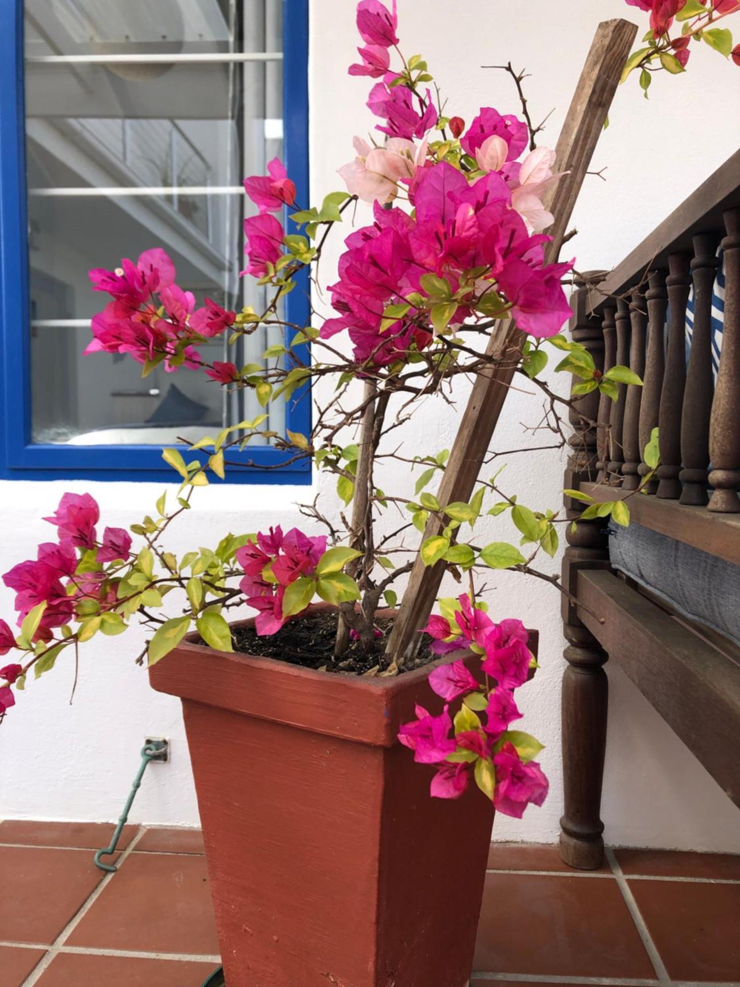 Bluesky Arniston Guest House Екстер'єр фото
