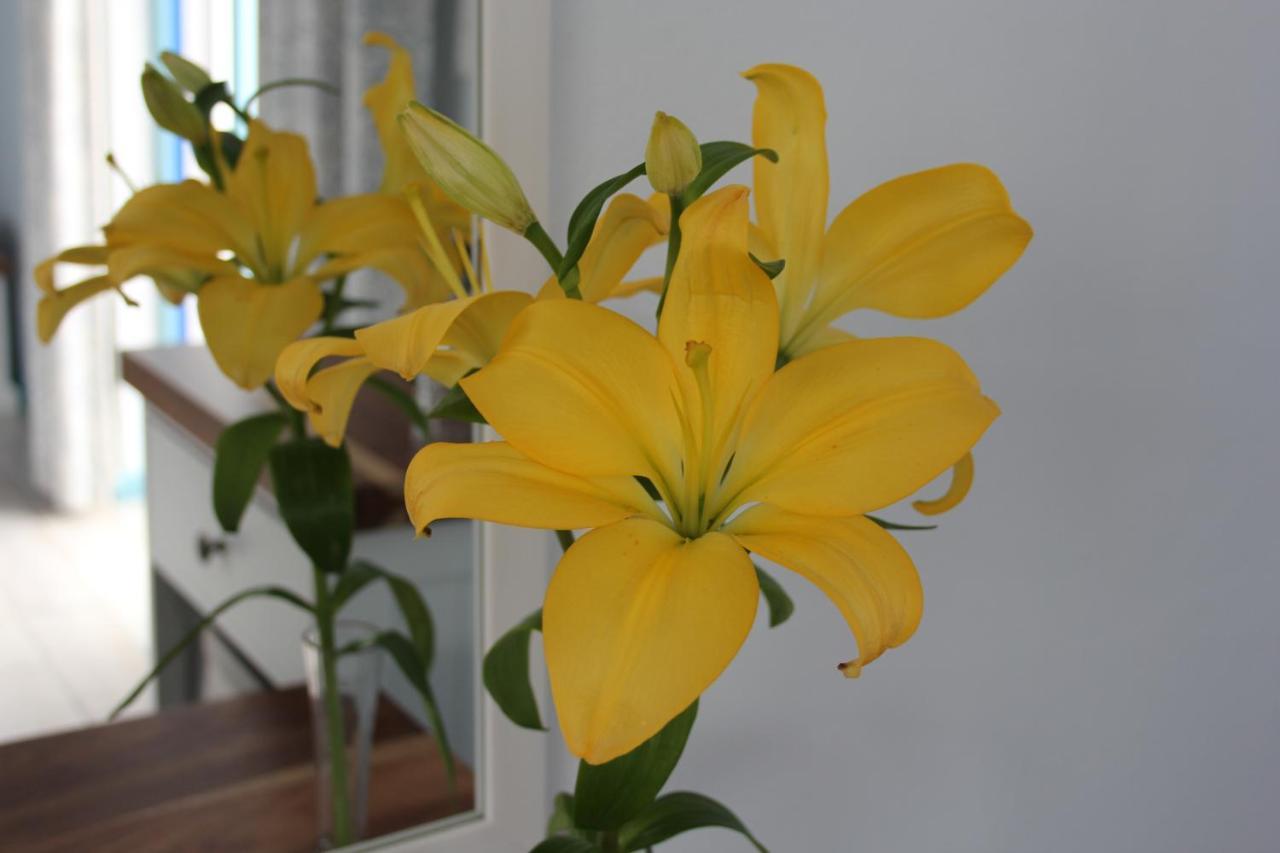 Bluesky Arniston Guest House Екстер'єр фото